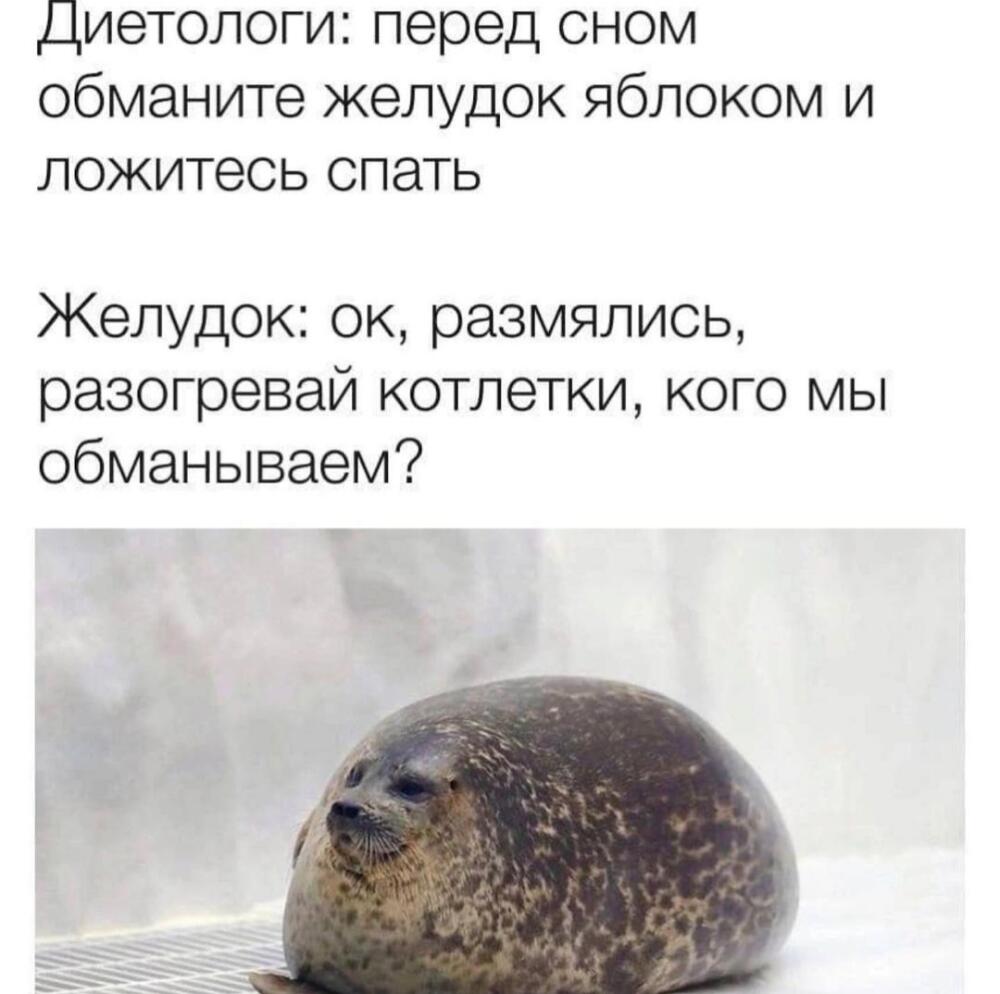 1671284553185348317.jpg.jpeg