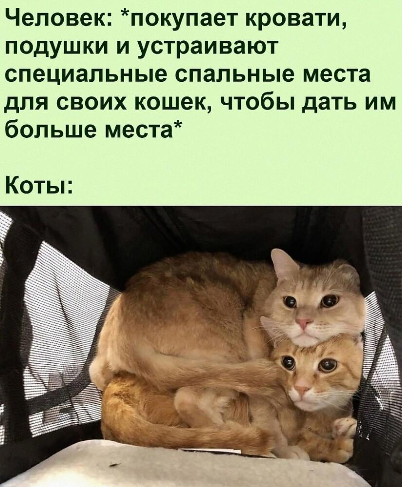 16715094361243406.jpg.jpeg