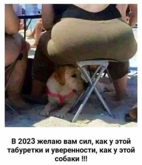 1672140281124956153.jpg.jpeg
