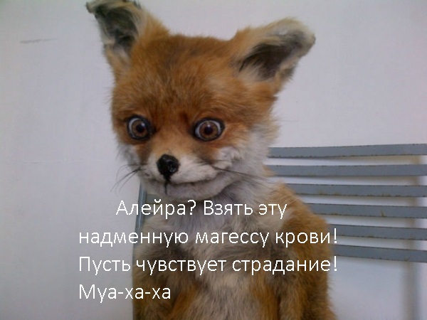 1lXlwZh.jpg.jpeg