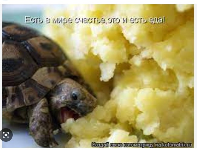 4094eeb810b6074dad578a93ba98bd04.jpg.jpeg