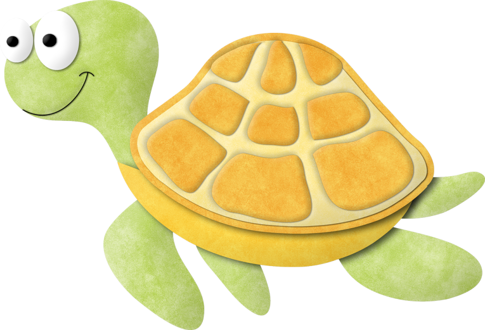 5.png.png