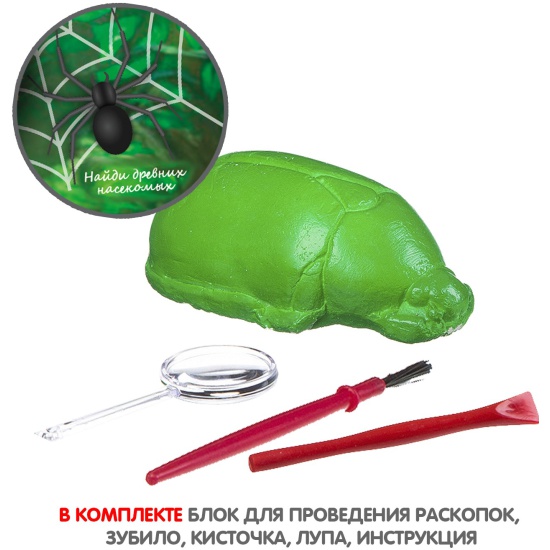 bondibon_vv3175_nasekomye_1367162_4.jpg.jpeg