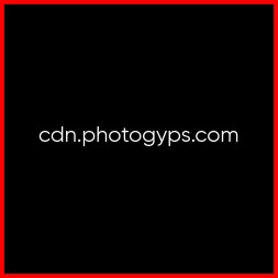 cdn.webp