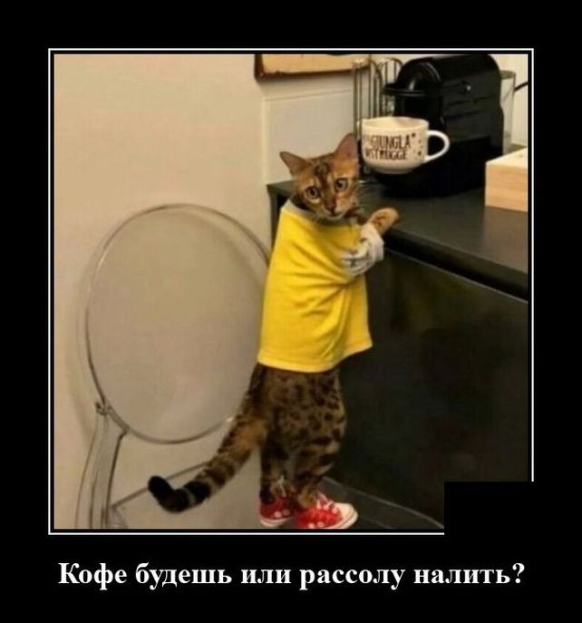 demotivator-19062021-006__b25cd8c8.jpg.jpeg