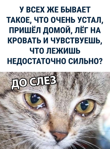 _fiKxrei45Q.jpg.jpeg