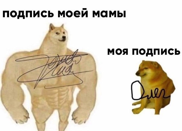 G36Z2dSRZYU.jpg.jpeg
