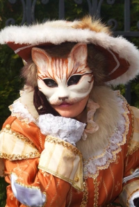 gatto-venetian-mask.jpg.webp