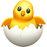 hatching-chick_1f423.png.webp.png