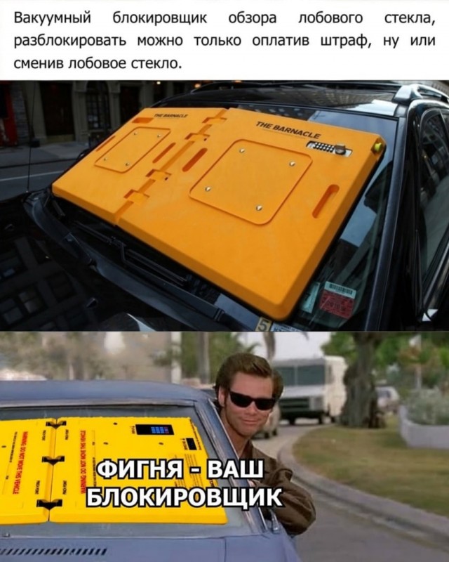 jpg.jpeg