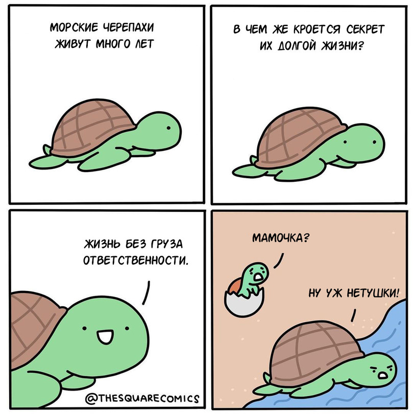 jpg.jpeg