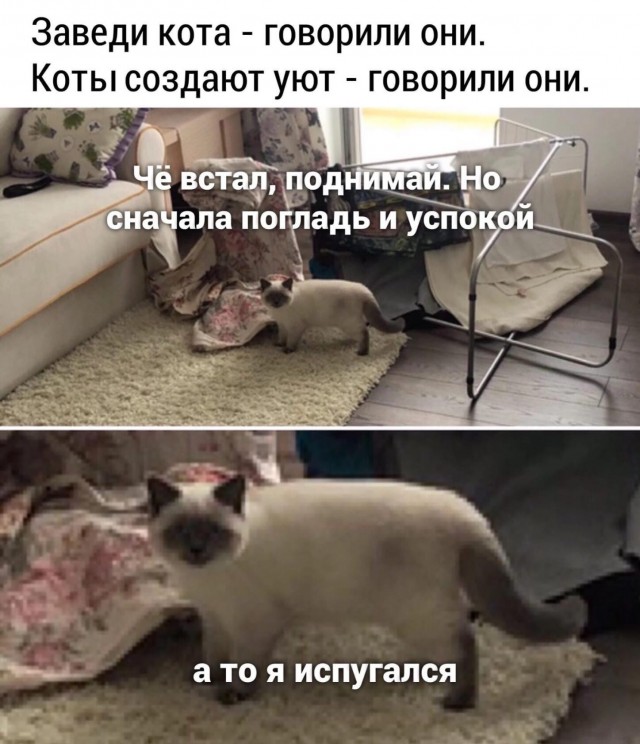 %D0%BF%D1%80%D0%B8%D0%BA%D0%BE%D0%BB%D1%8B-%D0%B4%D0%BB%D1%8F-%D0%B4%D0%B0%D1%83%D0%BD%D0%BE%D0%B2-%D0%BA%D0%B0%D1%80%D1%82%D0%B.jpeg