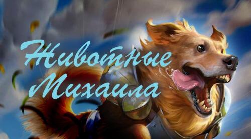 Подробнее о ""