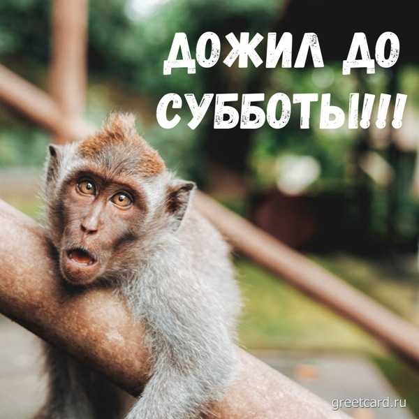1629520416_m27.jpg.jpeg