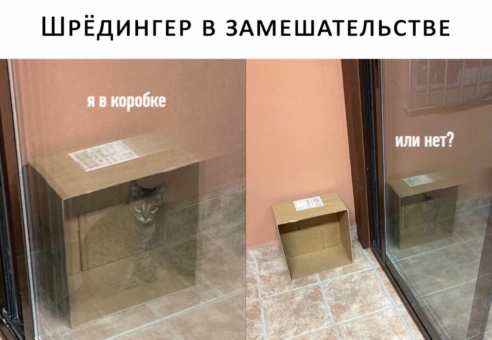 1640807033192348816.jpg.jpeg