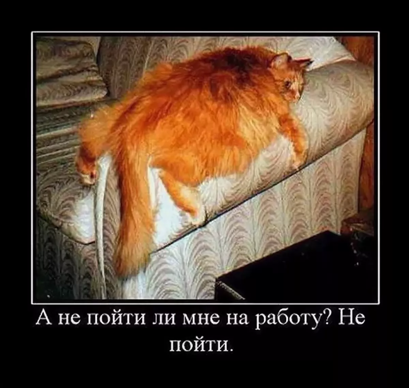 1644896693-49-fikiwiki-com-p-ya-prishla-s-raboti-prikolnie-kartinki-54.png.webp.png