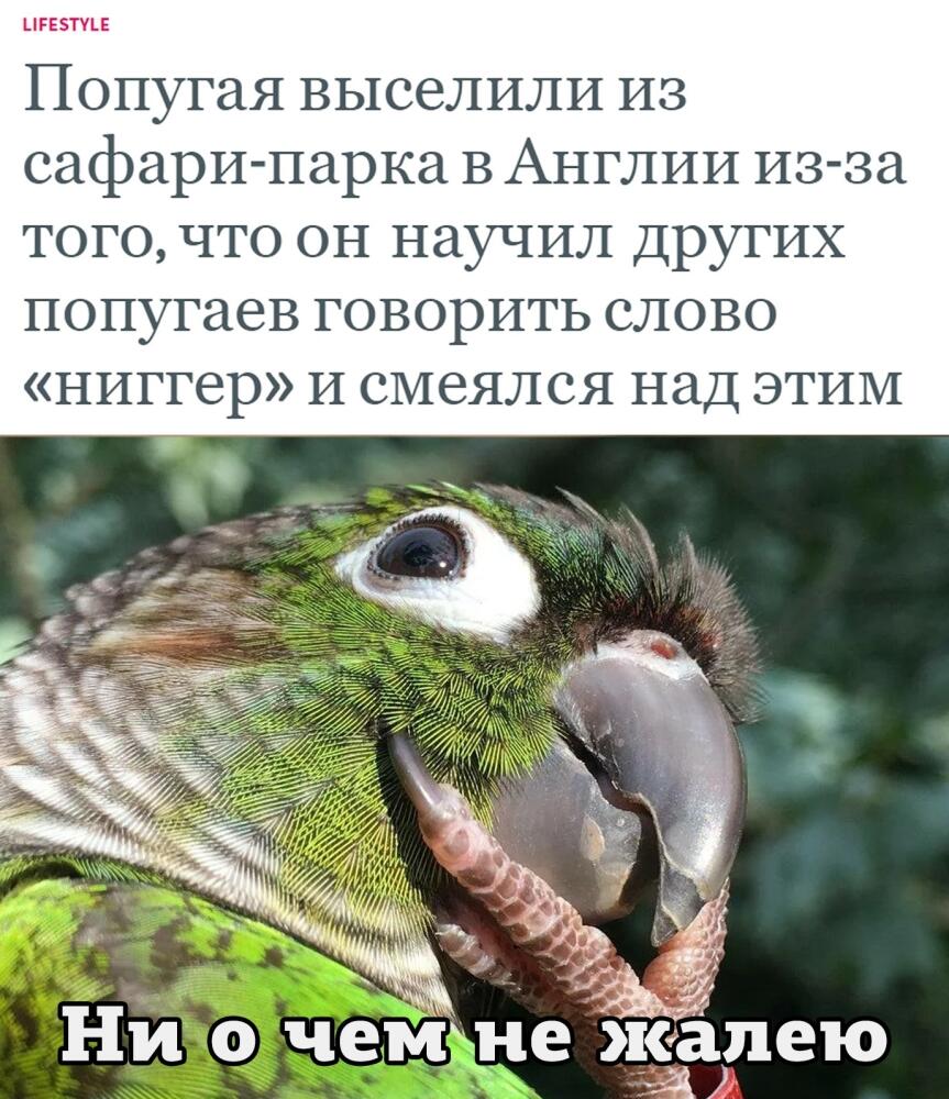 1671606576134119123.jpg.jpeg