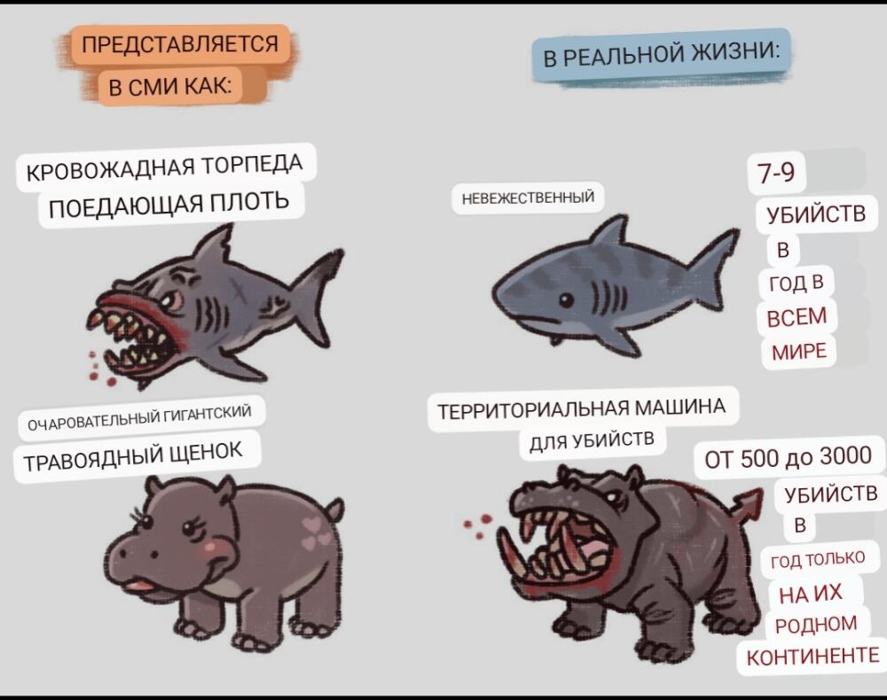 1674048424169544575.jpg.jpeg