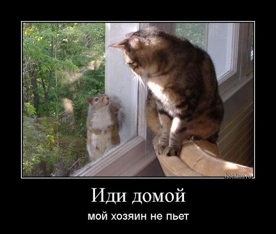19525481442703660.jpg.jpeg