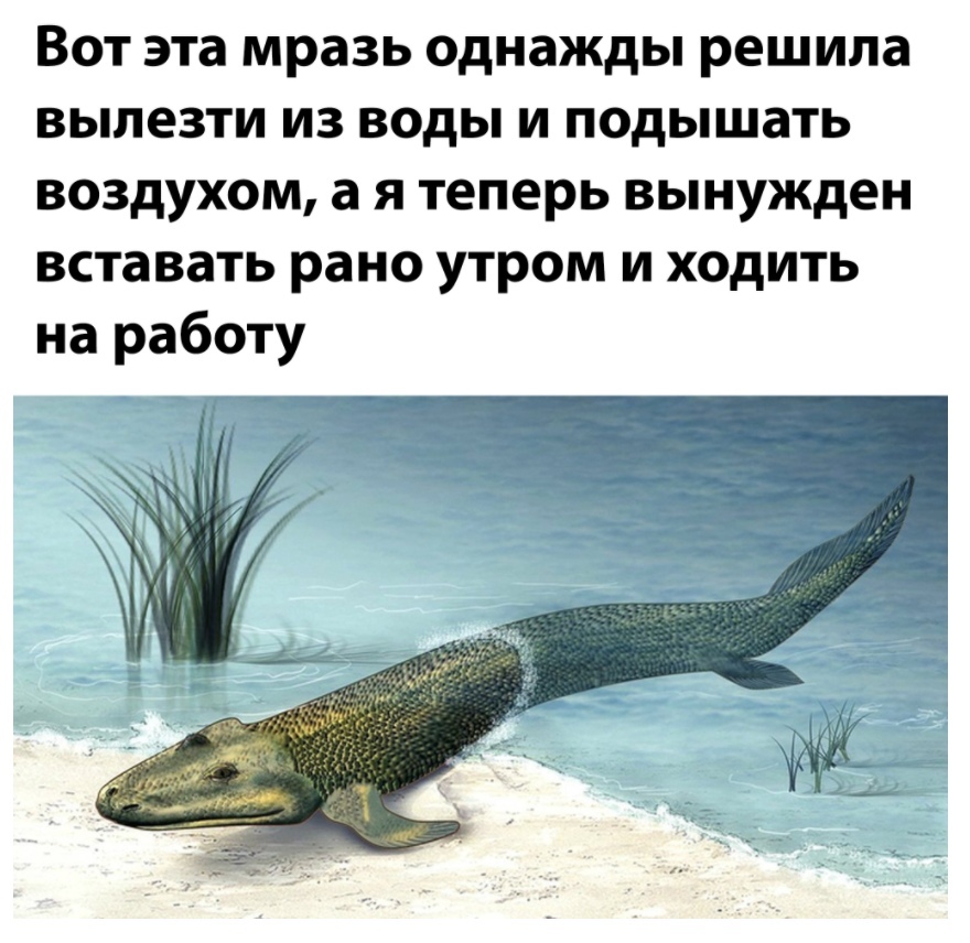 IgDc7.jpg.jpeg