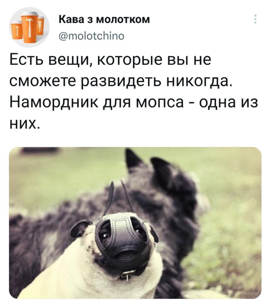 jpg.jpeg