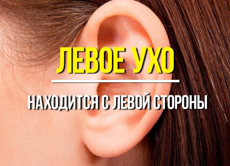 mem-s-bespoleznymi-faktami-3-768x553.jpg.jpeg