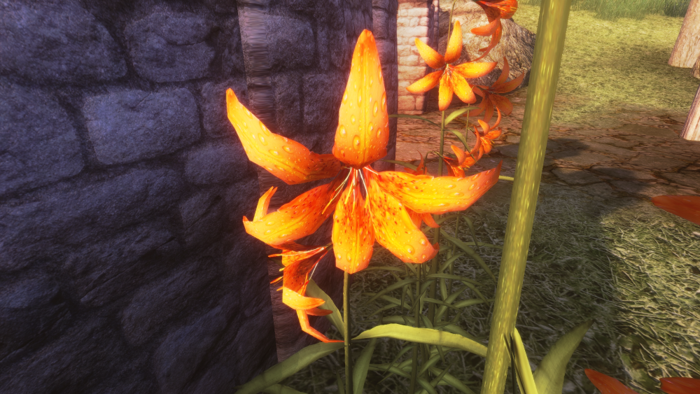 Oblivion 2023-01-29 23-57-49-59.png