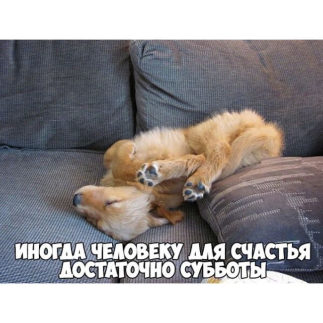otkrytki-s-dobrym-utrom-subboty1.1.jpeg
