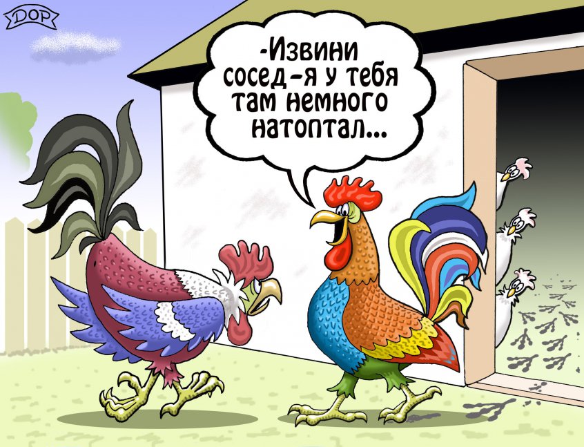 prikoly_pro_petuhov_1_29203704.jpg.jpeg