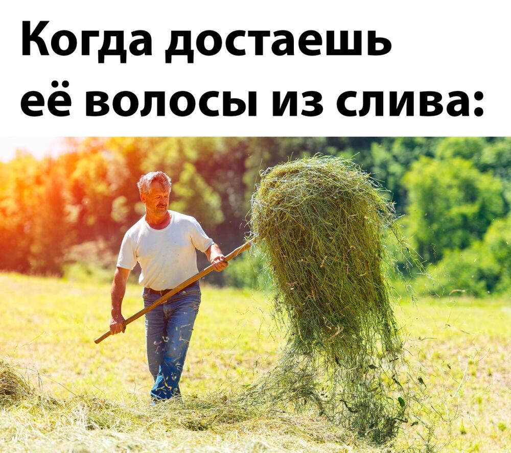 vlaGK250jGg.jpg.jpeg