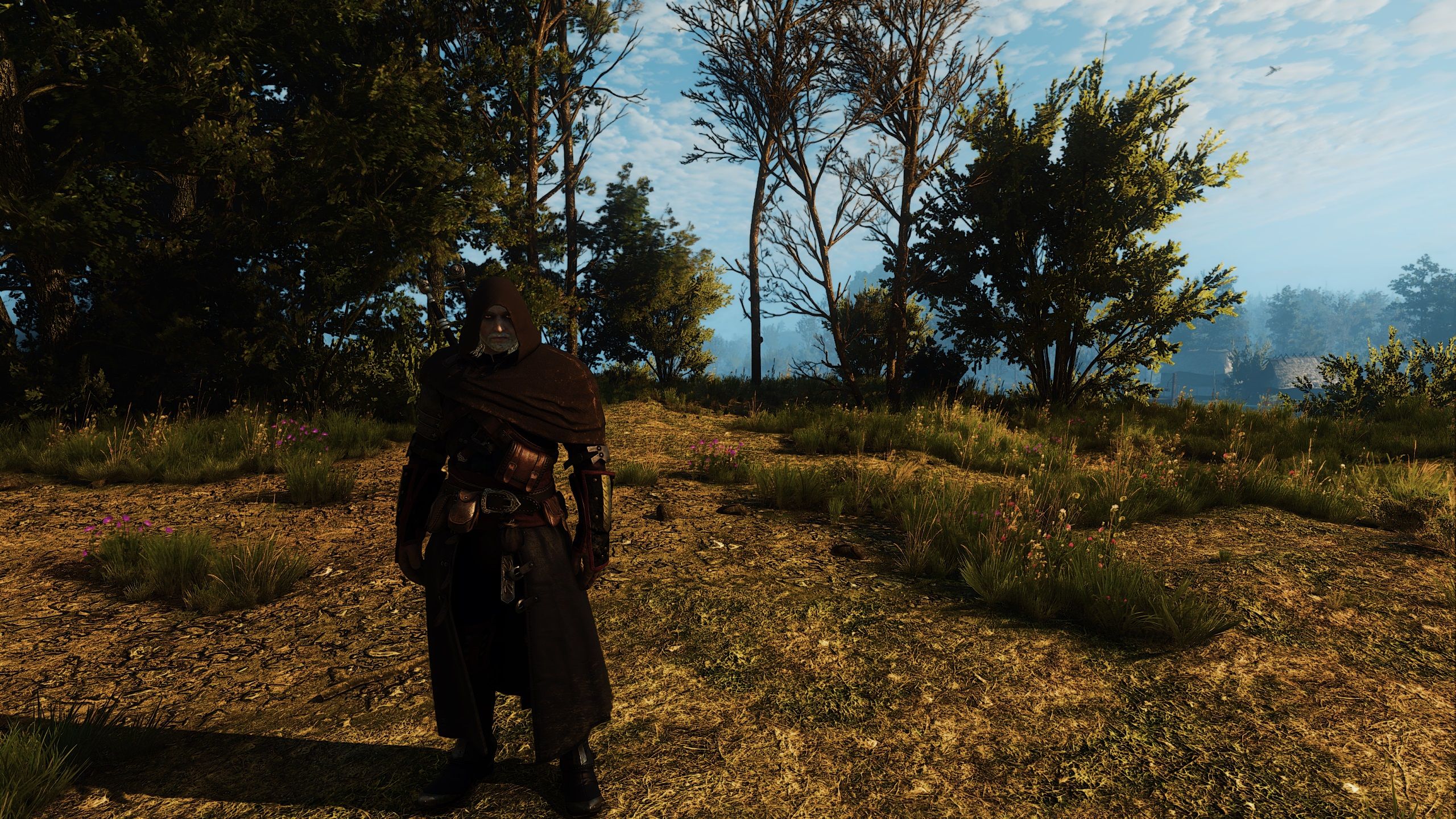 Geralt's Armor and Enemy Stamina rethinking