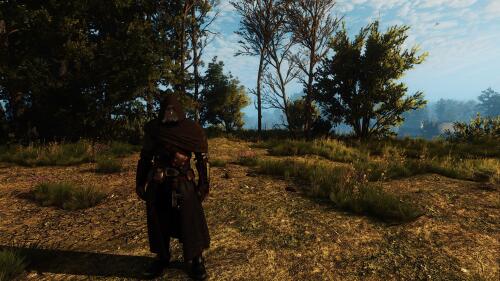 Подробнее о "Geralt's Armor and Enemy Stamina rethinking"