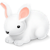 zayac.png