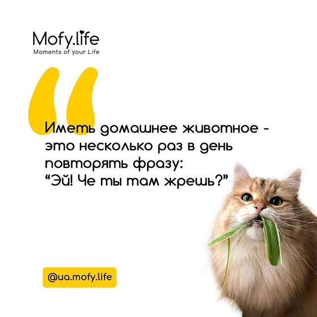 10f90f677fdcd3912baa822c988c5b16.jpg.jpeg