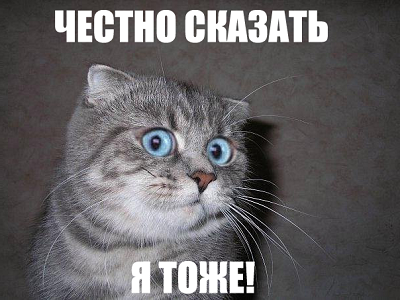 14098094808236.png.webp.png
