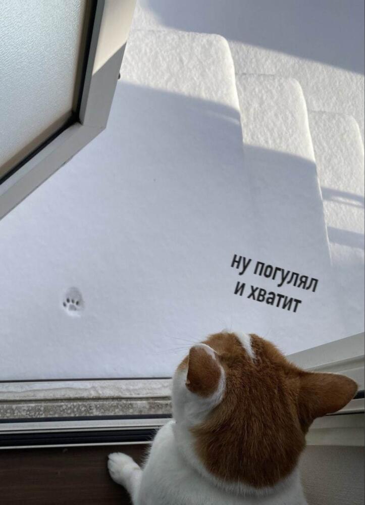 1609957615176737806.jpg.jpeg