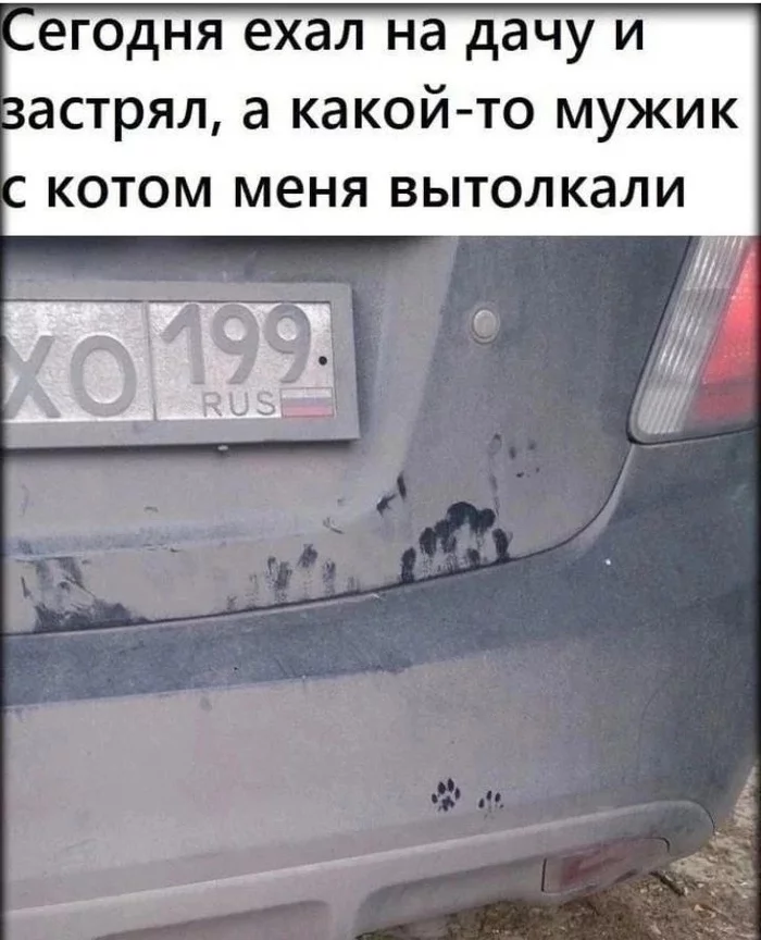 1676104685173631090.webp