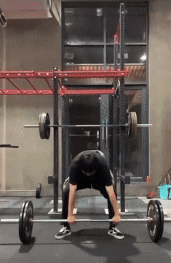 e21ab076_resizedScaled_740to1136.gif