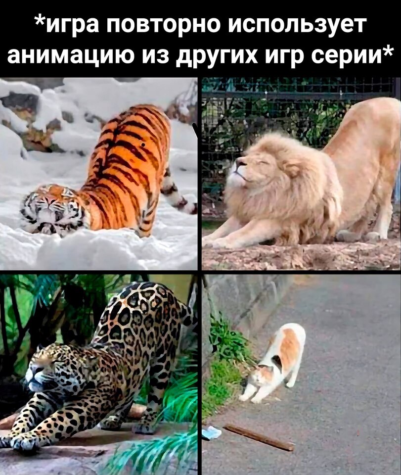 jpg.jpeg