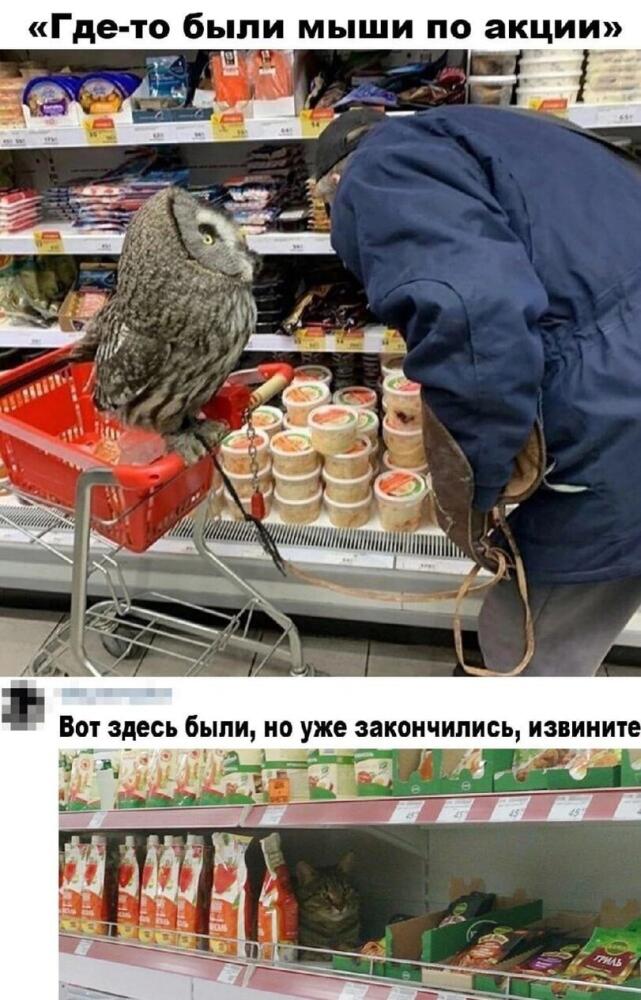 jpg.jpeg