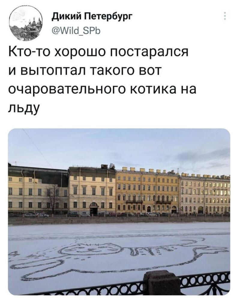 jpg.jpeg