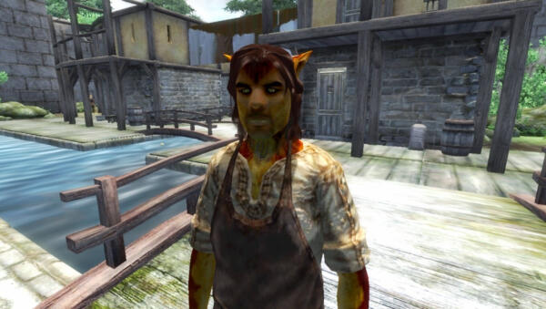 Elsweyr Anequina