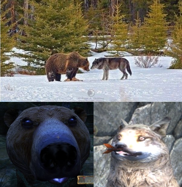 The-Elder-Scrolls-%D1%84%D1%8D%D0%BD%D0%B4%D0%BE%D0%BC%D1%8B-Oblivion-%D0%98%D0%B3%D1%80%D1%8B-7827689.jpg.jpeg