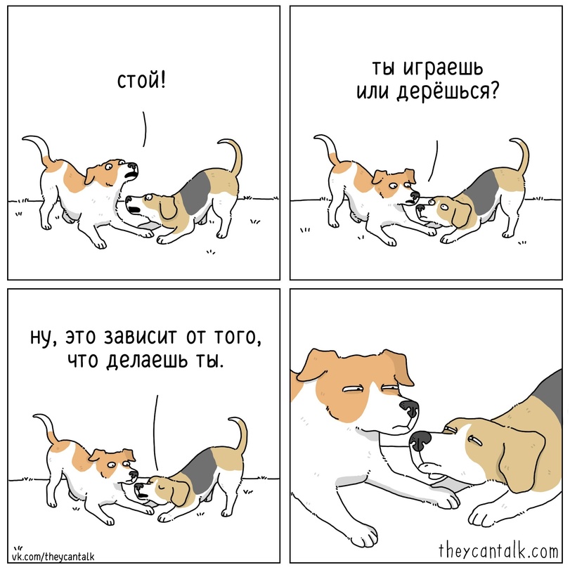 theycantalk-%D0%9A%D0%BE%D0%BC%D0%B8%D0%BA%D1%81%D1%8B-%D1%81%D0%BE%D0%B1%D0%B0%D0%BA%D0%B5%D0%BD%D1%8B-7711441.jpg.jpeg