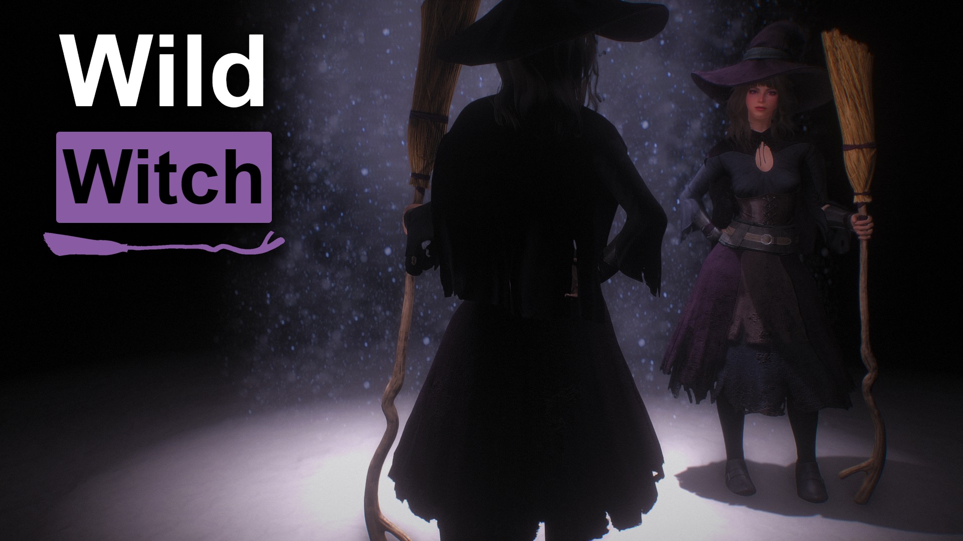 Wild Witch Outfit