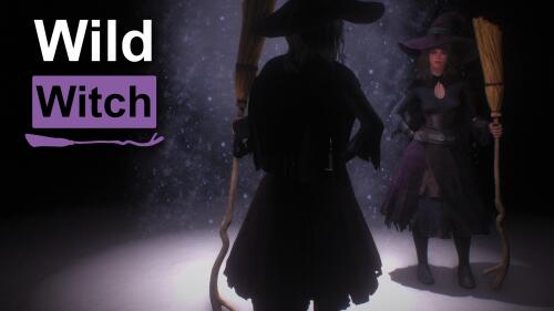 Подробнее о "Wild Witch Outfit"