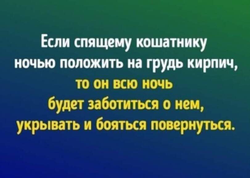 %D0%BA%D0%BE%D1%82-%D0%BA%D0%BE%D1%88%D0%B0%D1%82%D0%BD%D0%B8%D0%BA%D0%B8-%D1%8E%D0%BC%D0%BE%D1%80-%D0%BF%D0%BE%D0%B2%D1%82%D0%B.jpeg