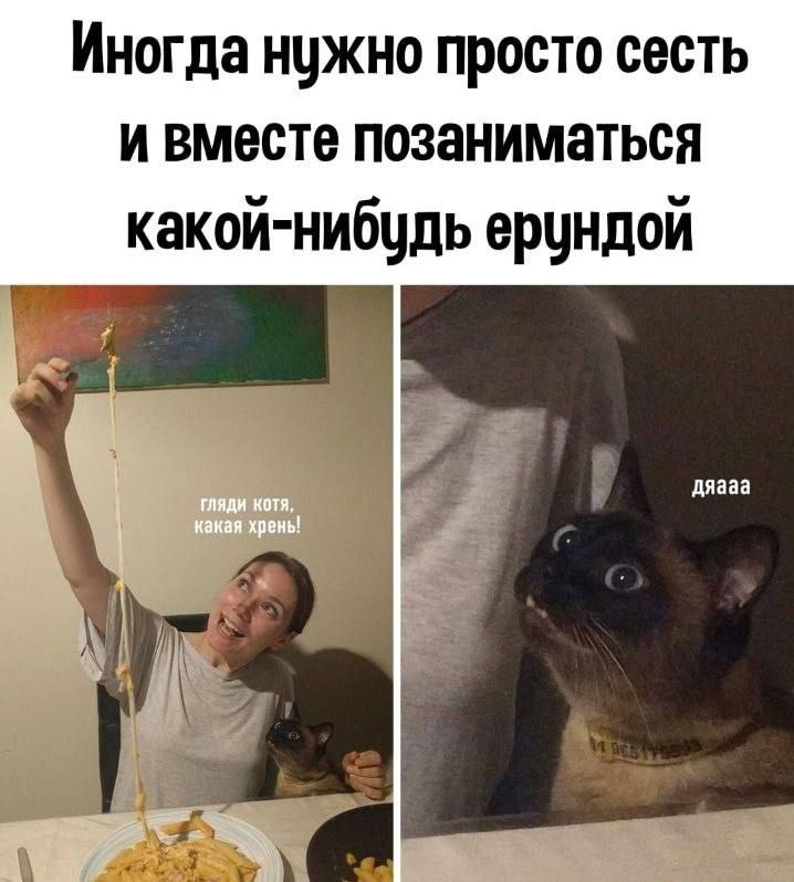 %D0%BA%D0%B0%D1%80%D1%82%D0%B8%D0%BD%D0%BA%D0%B0-%D1%81-%D1%82%D0%B5%D0%BA%D1%81%D1%82%D0%BE%D0%BC-%D0%BA%D0%BE%D1%82%D1%8D-%D0%.jpeg