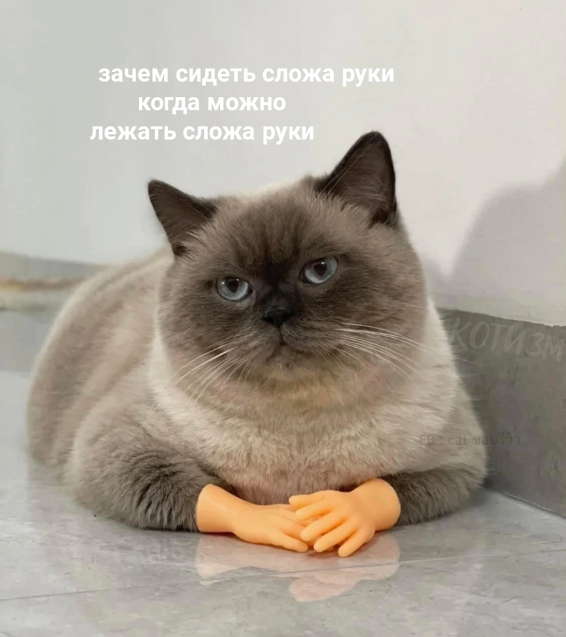 %D0%BA%D0%BE%D1%82%D1%8D-%D1%80%D1%83%D0%BA%D0%B8-%D0%BA%D0%B0%D1%80%D1%82%D0%B8%D0%BD%D0%BA%D0%B0-%D1%81-%D1%82%D0%B5%D0%BA%D1%.png