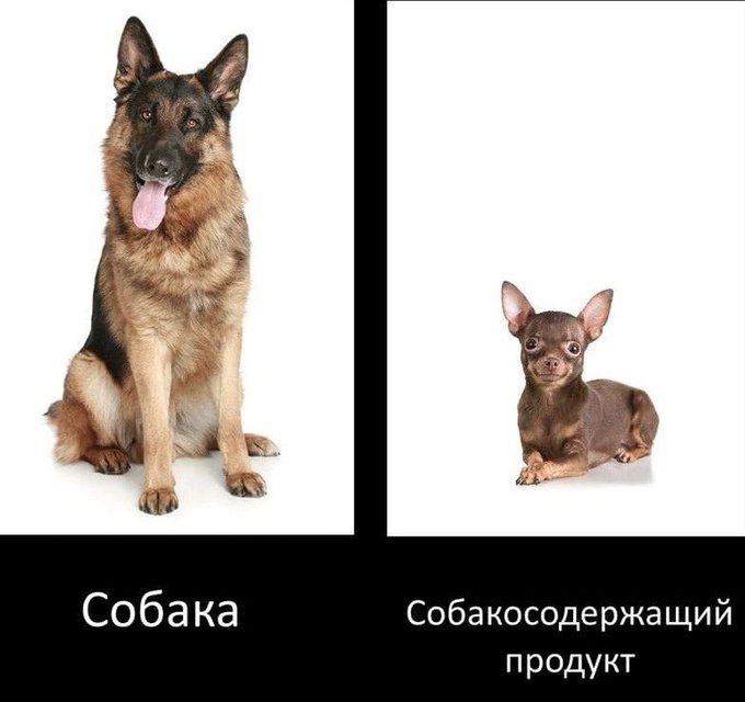 01877097.jpg.jpeg